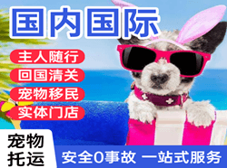 虹桥航空运输国际宠物托运 【国